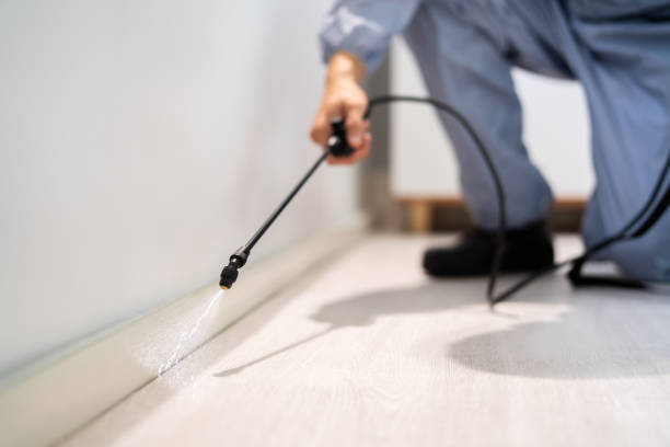 Bed Bug Pre-Treatment Preparation Assessment in La Pine