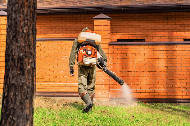 Bed Bug Clearance Verification and Documentation in La Pine